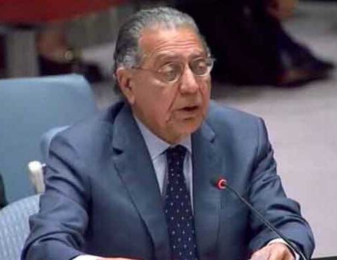 سلامتی کونسل کے اجلاس میں پاکستان کا فلسطین کی بھرپور حمایت کا اعلان