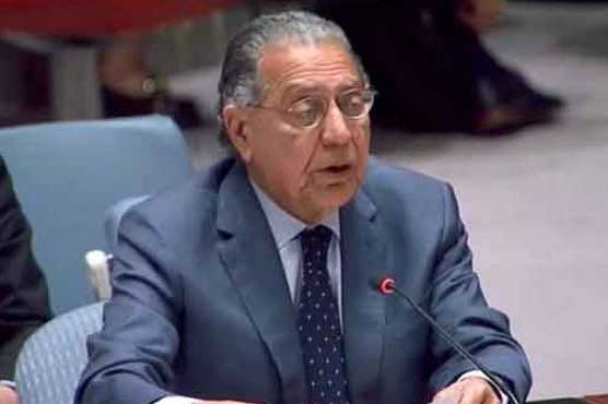 سلامتی کونسل کے اجلاس میں پاکستان کا فلسطین کی بھرپور حمایت کا اعلان