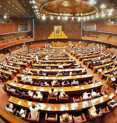 قومی اسمبلی میں ریکوڈک منصوبے سے متعلق غیر ملکی سرمایہ کاری کے تحفظ کا بل منظور
