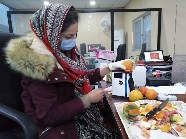 پاکستانی ماہرین نے پھلوں کو کھولے بغیر مٹھاس بتانے والے نظام تیار کرلیا