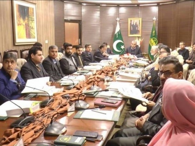 پنجاب کا 4 ماہ کیلئے 1719 ارب روپے کا بجٹ منظور، تنخواہوں میں 30 فیصد اضافہ