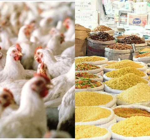 ای سی سی نے مرغی اور دالوں کی قیمتوں میں اضافے کانوٹس لے لیا