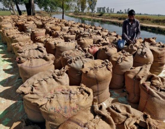 پاکستان بھارتی چاول کی مارکیٹ حاصل کرنے کیلیے پر امید