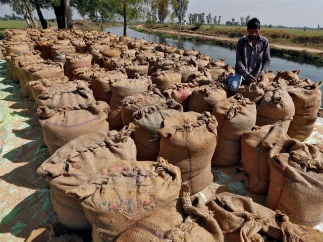 پاکستان بھارتی چاول کی مارکیٹ حاصل کرنے کیلیے پر امید