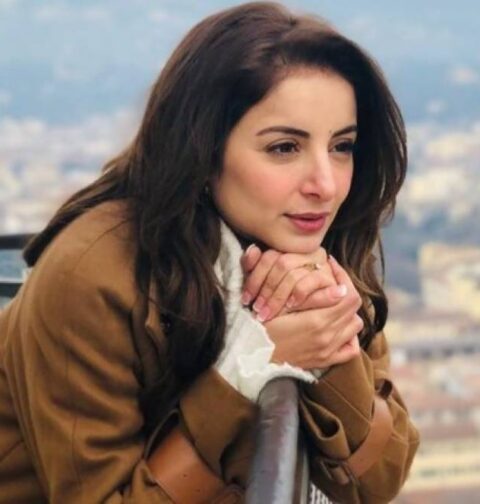 آن لائن منفی مہم فنکاروں کو شدید متاثر کرتی ہے ثروت گیلانی