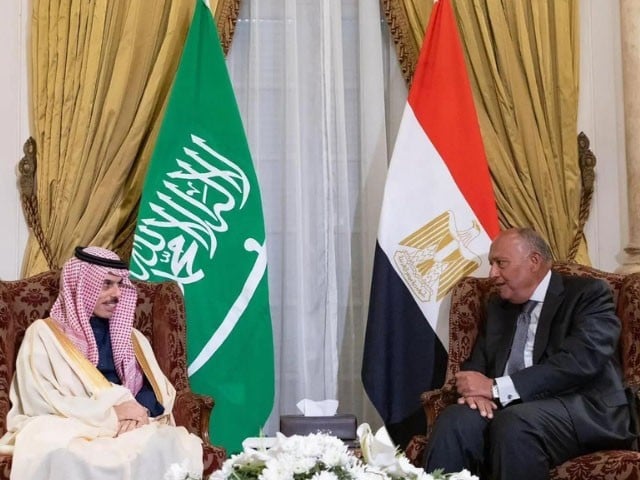 سعودیہ اور مصر کا فلسطینی پناہ گزینوں کیلیے فنڈنگ کی بندش پر تشویش کا اظہار