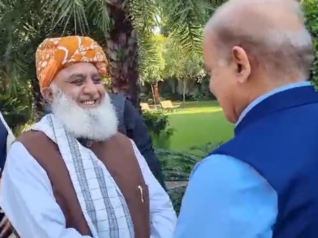 شہباز شریف سے مولانا فضل الرحمان کی ملاقات، اتحاد برقرار رکھنے پر اتفاق