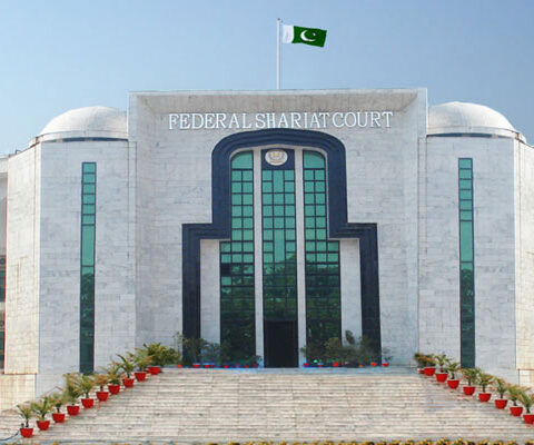 حکومت ٹرانسجینڈر بچوں کو حقوق فراہمی میں سنجیدہ نہیں شریعت عدالتحکومت ٹرانسجینڈر بچوں کو حقوق فراہمی میں سنجیدہ نہیں شریعت عدالت