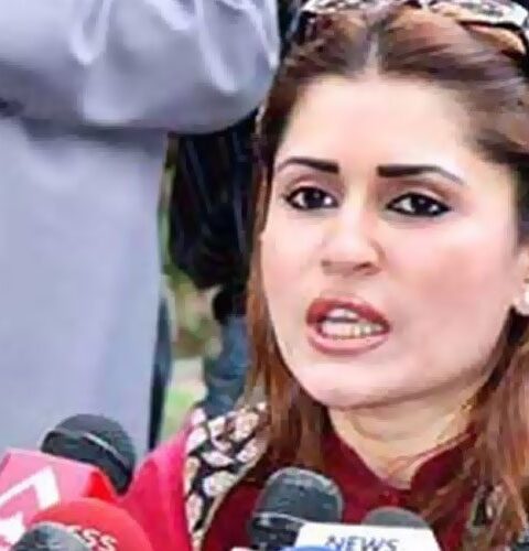 ایک پاگل اقتدار میں آنے کیلئے بے چین ہے شازیہ مری