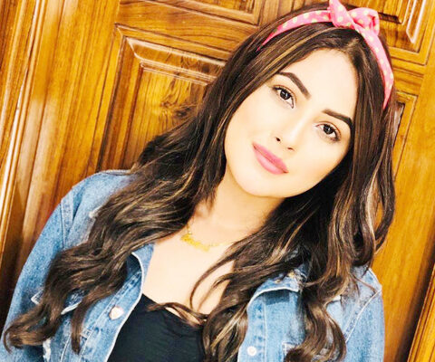سوشل میڈیا صارفین نے شہناز گل کو غیر مہذب قرار دے دیا