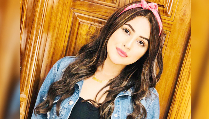 سوشل میڈیا صارفین نے شہناز گل کو غیر مہذب قرار دے دیا