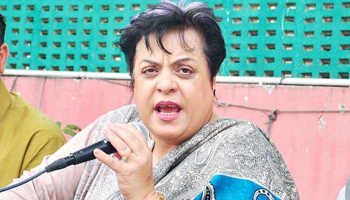 اسپیکر قومی اسمبلی احمقانہ رویہ فوری ترک کریں شیریں مزاری