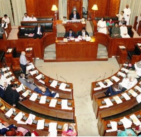 سندھ اسمبلی میں جہیز اور شادی کے غیر ضروری اخراجات کے خاتمے کی قرارداد پیش