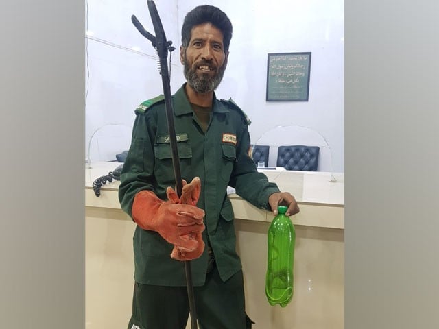 راولپنڈی؛ ہولی فیملی اسپتال میں سانپ نے خوف و ہراس پھیلادیا