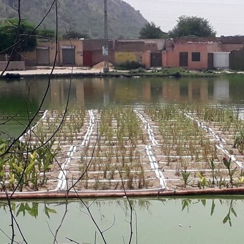 وادی سون میں برساتی پانی کو جمع کرنے کے کامیاب تجربات