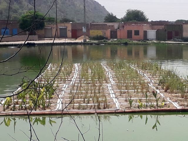 وادی سون میں برساتی پانی کو جمع کرنے کے کامیاب تجربات
