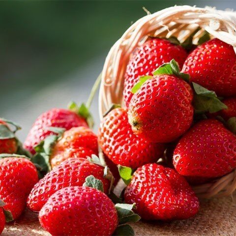 کیا اسٹرابیری بڑھاپے کا عمل سست کرسکتی ہے؟