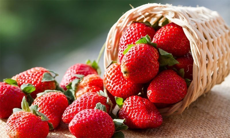 کیا اسٹرابیری بڑھاپے کا عمل سست کرسکتی ہے؟