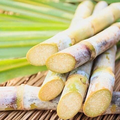 سندھ، گنے کی فی من قیمت 425 سے 450 روپے تک مقرر کرنیکا امکان