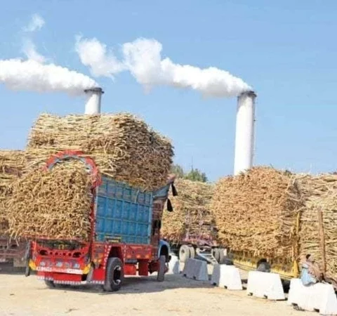 15نومبر تک شوگر سیکٹر پر مکمل ٹریک اینڈ ٹریس سسٹم نافذ