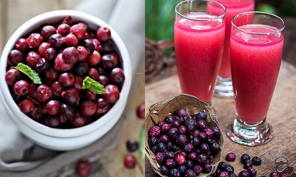 گرمیوں میں فالسہ اور اس کے شربت کے صحت پر حیران کُن فوائد