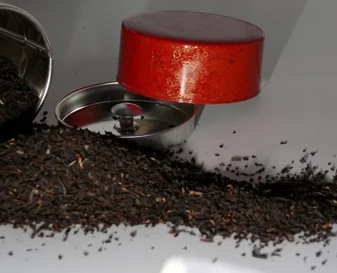 پاکستانی سائنسدان نے استعمال شدہ چائے کی پتی سے الزائمر کی تشخیص آسان بنا دی