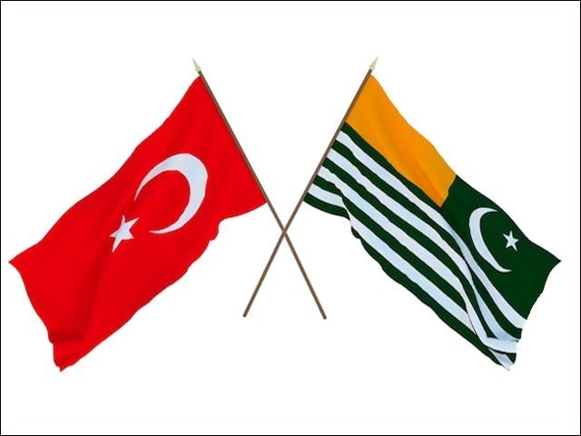 ترک حکومت کا عالمی سطح پر کشمیریوں کی حمایت کا عزم