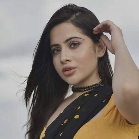 جان بچانے کیلئے دو بہنوں سمیت گھر سے بھاگی تھی، عرفی جاوید