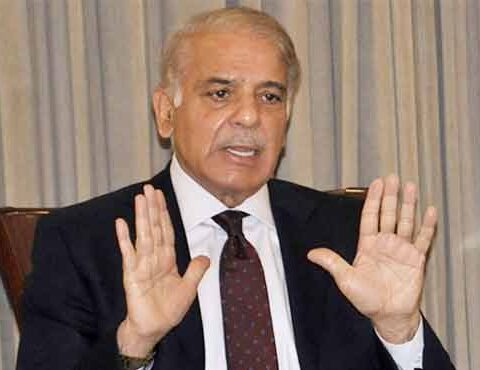 عمران نیازی کا پاک فوج کو بدنام کرنا انتہائی قابل مذمت ہے وزیراعظم
