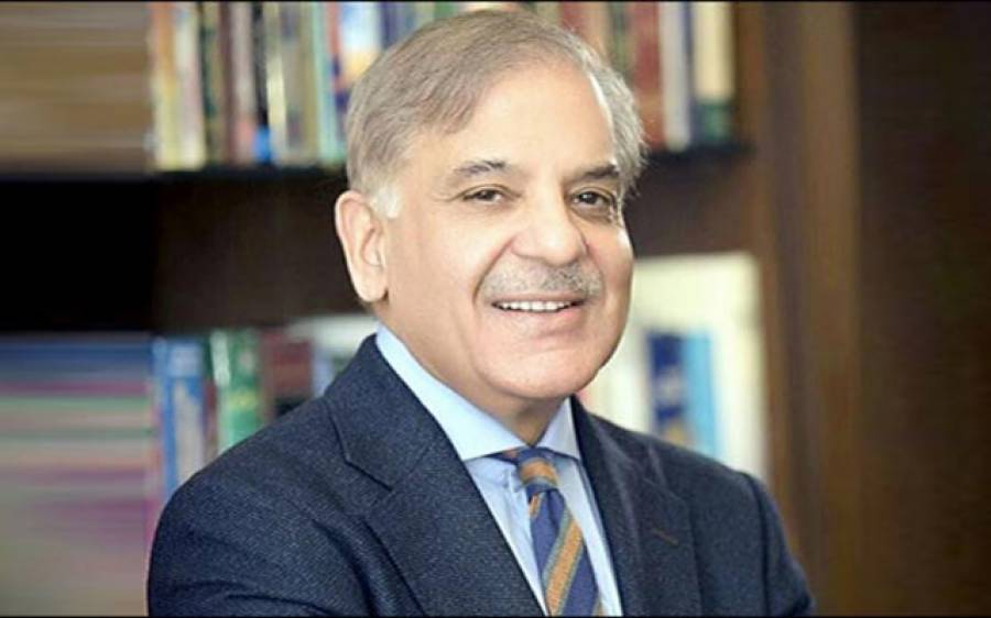 بیجنگ کی طرح ترکیہ کمپنیوں نے بھی شکایات کی ہیں وزیراعظم