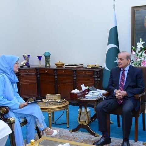 وزیراعظم نے عافیہ صدیقی کی رہائی کیلیے اعلیٰ سطح پر وزارتی کمیٹی تشکیل دے دی