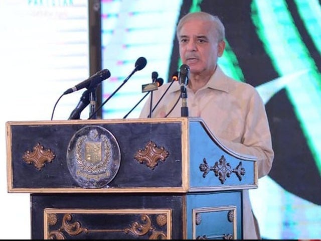 آئی ایم ایف نے باقاعدہ پاں میں زنجیریں پہنادی ہیں وزیراعظم