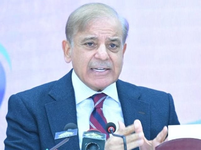 کسی کی کوشش ہے کہ پاکستان ڈیفالٹ کر جائے وزیرِ اعظم شہباز شریف