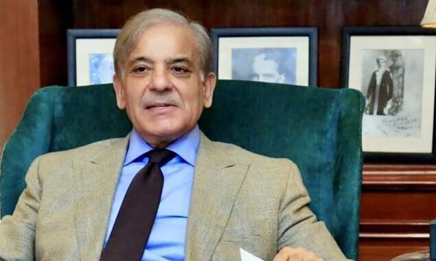 این ایس سی نے بڑے فیصلے لیے ہیں وزیرِ اعظم شہباز شریف