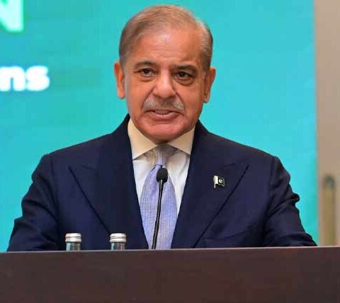 متحدہ عرب امارات سے قرض نہیں مشترکہ سرمایہ کاری چاہتے ہیں: شہباز شریف
