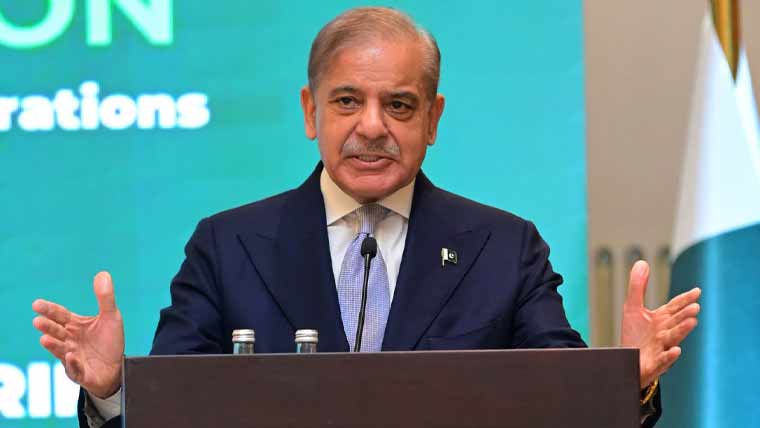 متحدہ عرب امارات سے قرض نہیں مشترکہ سرمایہ کاری چاہتے ہیں: شہباز شریف