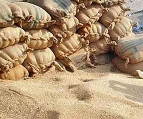میرپور خاص بند چکی سے 50 کلو والی گندم کی ہزار بوریاں برآمد