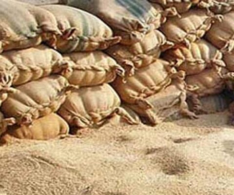 ملوں کے پاس 2 دن کا گندم کا ذخیرہ، کراچی میں دوبارہ آٹے کے بحران کا خدشہ