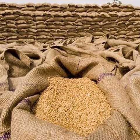 تاجروں نے اضافی گندم کی برآمد کے لیے حکومت سے اجازت طلب کر لی