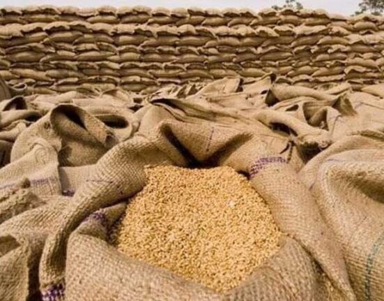 تاجروں نے اضافی گندم کی برآمد کے لیے حکومت سے اجازت طلب کر لی