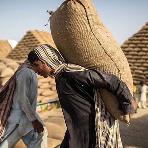 بدلتا موسم مزدوروں میں ذہنی صحت کے مسائل کا سبب قرار