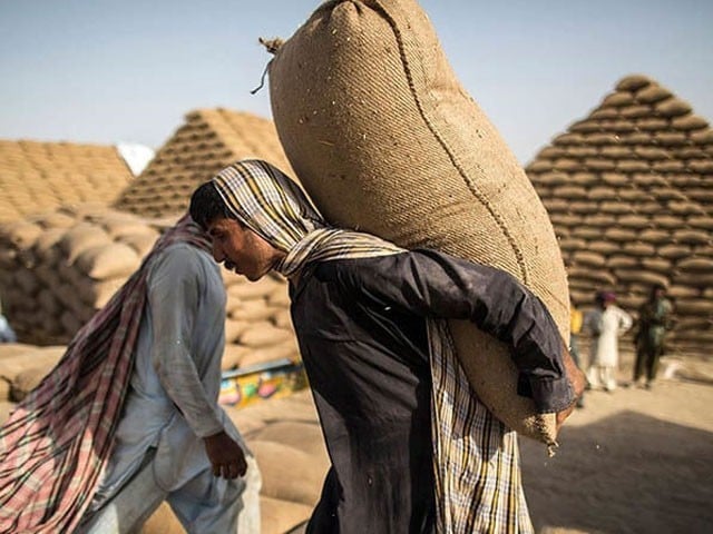 بدلتا موسم مزدوروں میں ذہنی صحت کے مسائل کا سبب قرار
