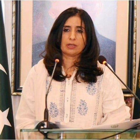 فلسطین کواقوام متحدہ کی مکمل رکنیت دینے کا وقت آ گیا ہے، پاکستان